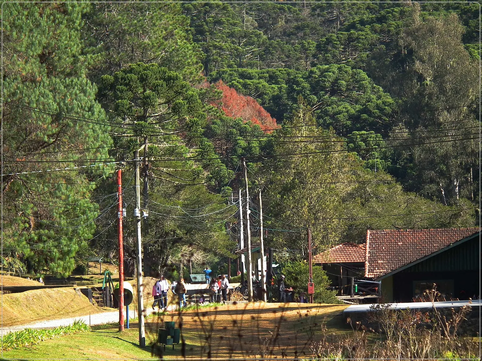 Criado em 1941 pelo dr. Adhemar de Barros, distante 13 km da Vila Capivari, o Parque Estadual ou Horto Florestal é o mais antigo do Brasil.