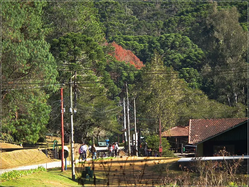 Criado em 1941 pelo dr. Adhemar de Barros, distante 13 km da Vila Capivari, o Parque Estadual ou Horto Florestal é o mais antigo do Brasil.