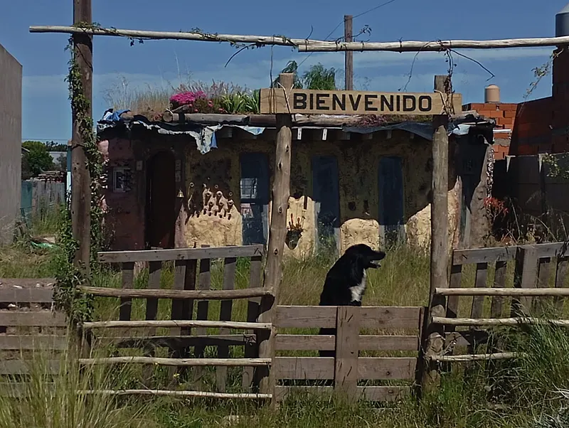 Vista de una casa con perro de Villa Harding Green